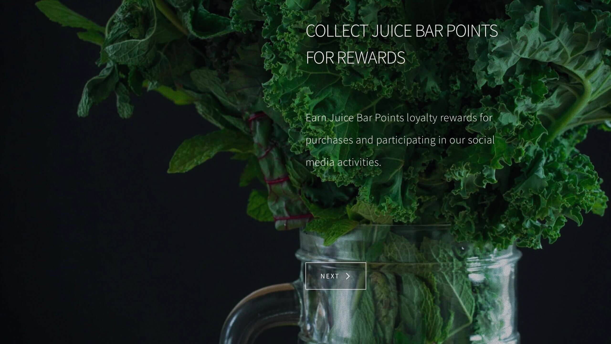 Points co Loyalty Rewards App Apple Wallet Instagram Branding Campaign j66co
